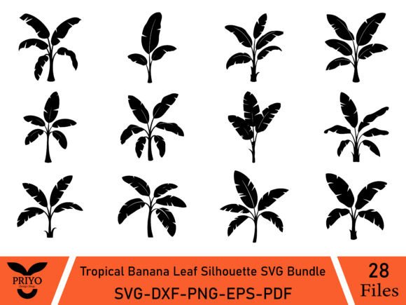 Tropical Banana Leaf Silhouette SVG in Graphics & Crafts
